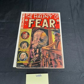 Haunt of Fear 20 EC Comics Pre-Code Horror