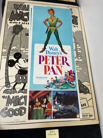 Walt Disney Movie Poster & Window Inserts Trimmed