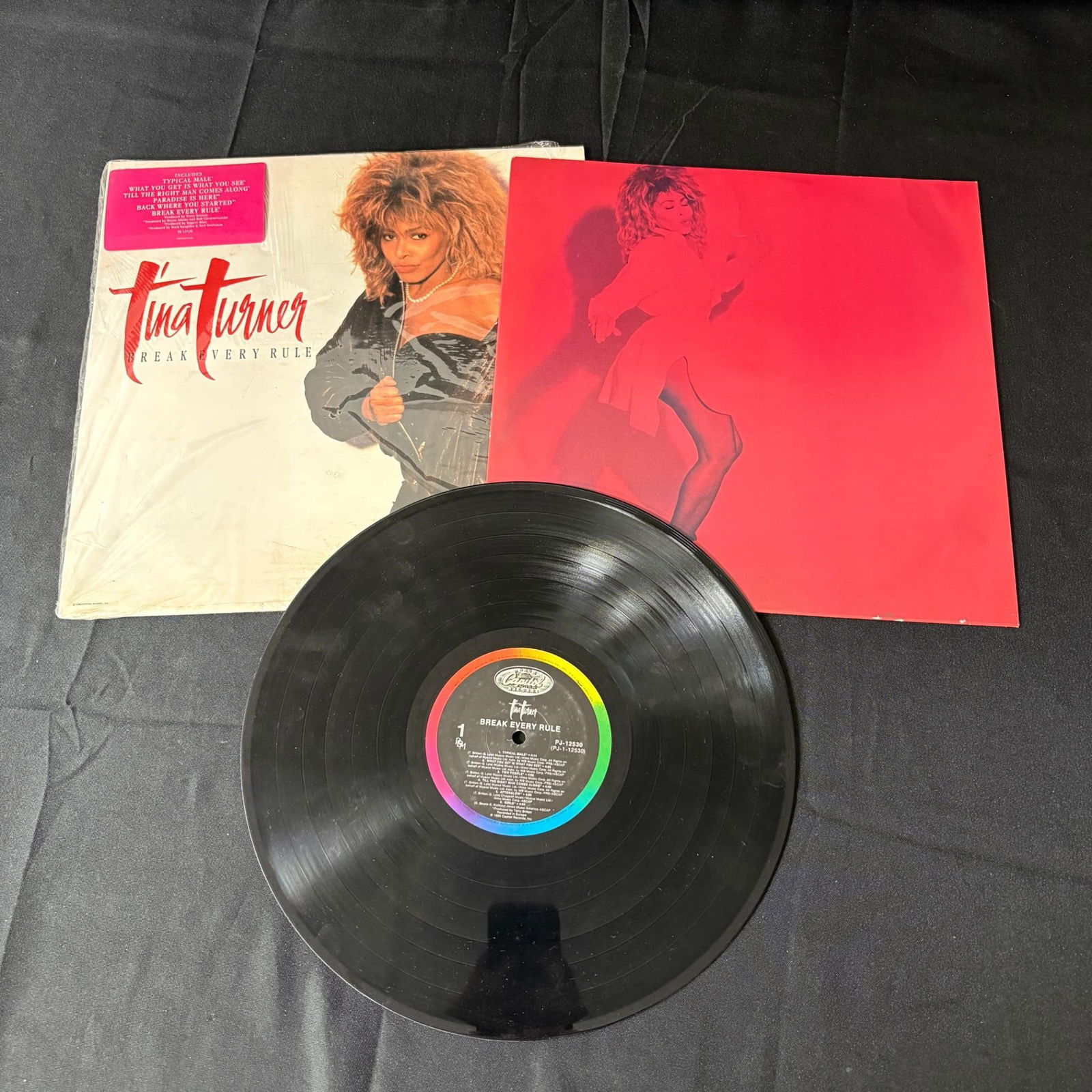Tina Turner Break Every Rule Vinyl LP (1 of 2)