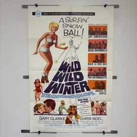 Wild Wild Winter Original 1966 Movie Poster