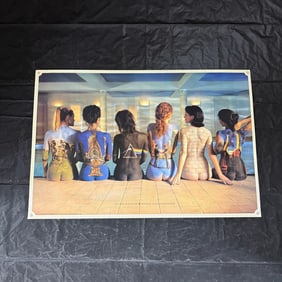 Pink Floyd Back Catalog Album Poster