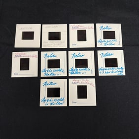 Star Trek 1st Series Film Cells For the World...