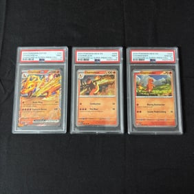 PSA Seq Cert Charizard EX Prem Collection