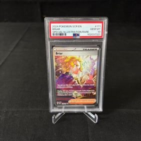 PSA 10 Briar SIR Stellar Crown Pokemon Card