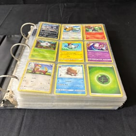 Huge Bulk Pokemon Card Binder