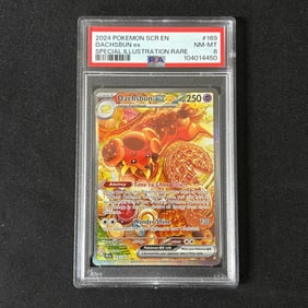 PSA 8 Dachsbun EX SIR Stellar Crown