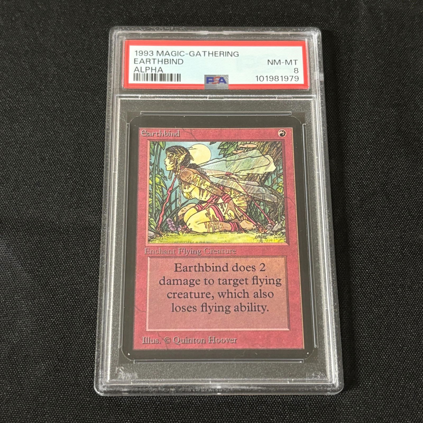 PSA 8 Earthbind Alpha MTG (1 of 1)