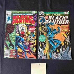 Black Panther Marvel Bronze Age Comics