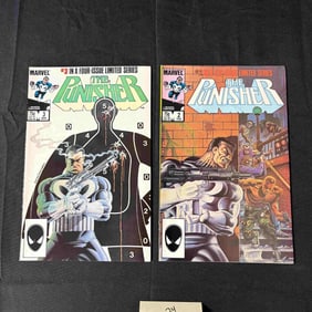Punisher 1st limited series + Comics
