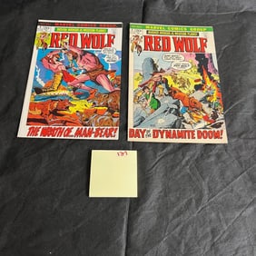 Red Wolf 2 & 4 Marvel Bronze Age Comic Books