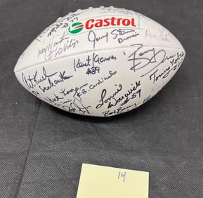 NFL Autographed Football Signed & HOF Ceremony