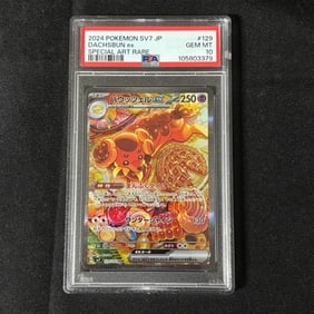 PSA 10 Dachsbun EX SAR