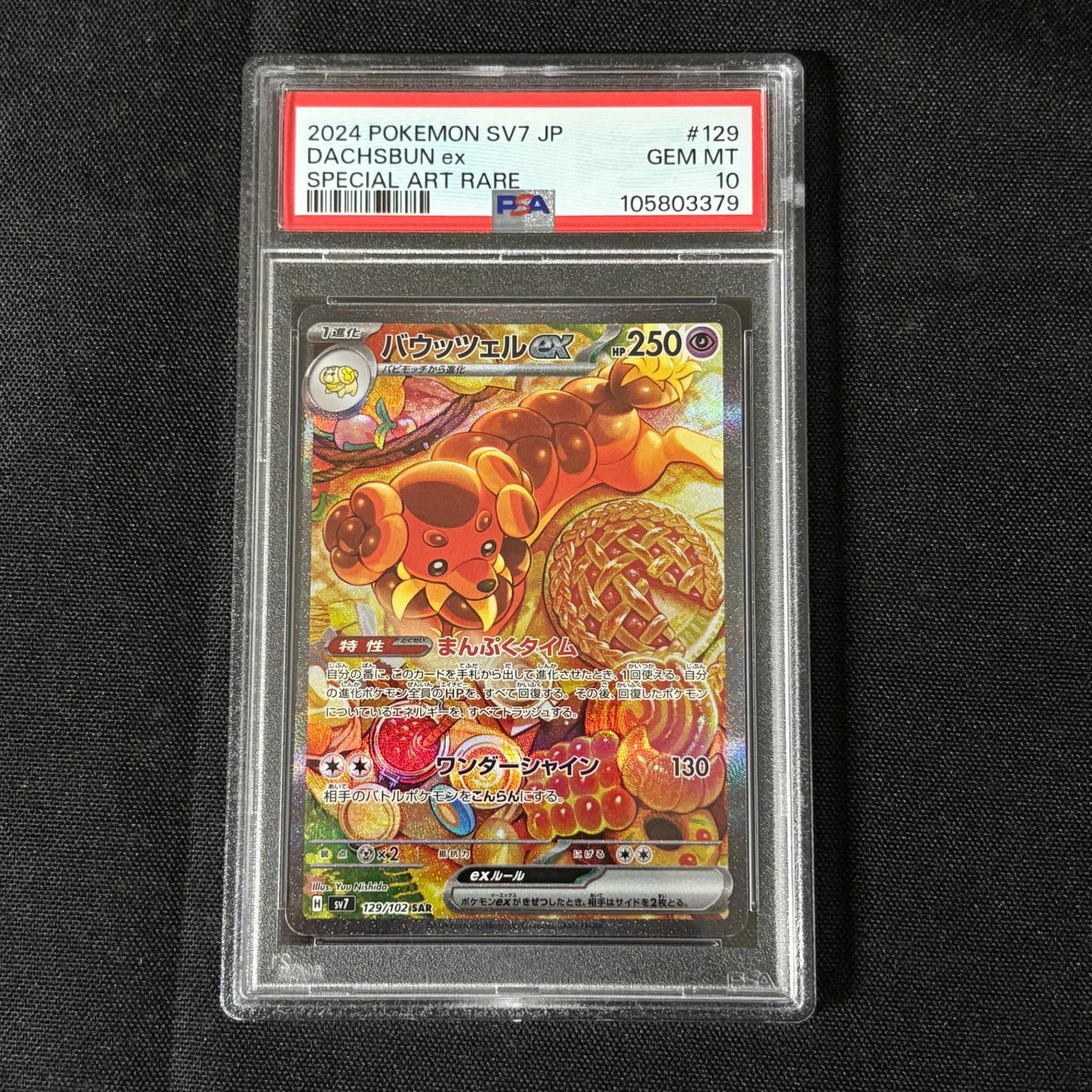 PSA 10 Dachsbun EX SAR (1 of 1)
