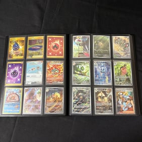 Modern Pokemon Binder Collection, SIR, IR, Gold