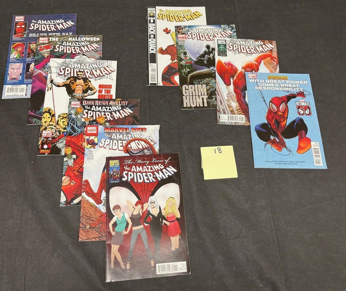 Amazing Spider-man Modern Age Comic Books: All items are sold as is. Please look at pictures carefully to determine what you believe are the condition of each lot. By choosing which card to use to register to bid, you authorize us to use the c