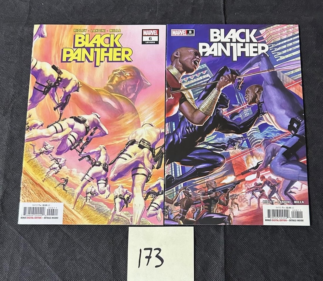 Black Panther Modern Age Marvel Comics w/Variant (1 of 1)