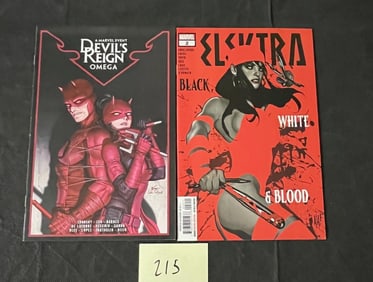 Elektra Black, White & Blood Marvel Comic +