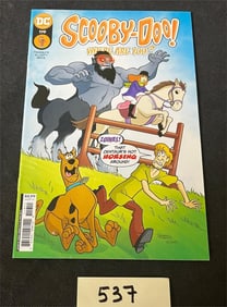 Scooby Doo Where Are You? #119 DC Comics