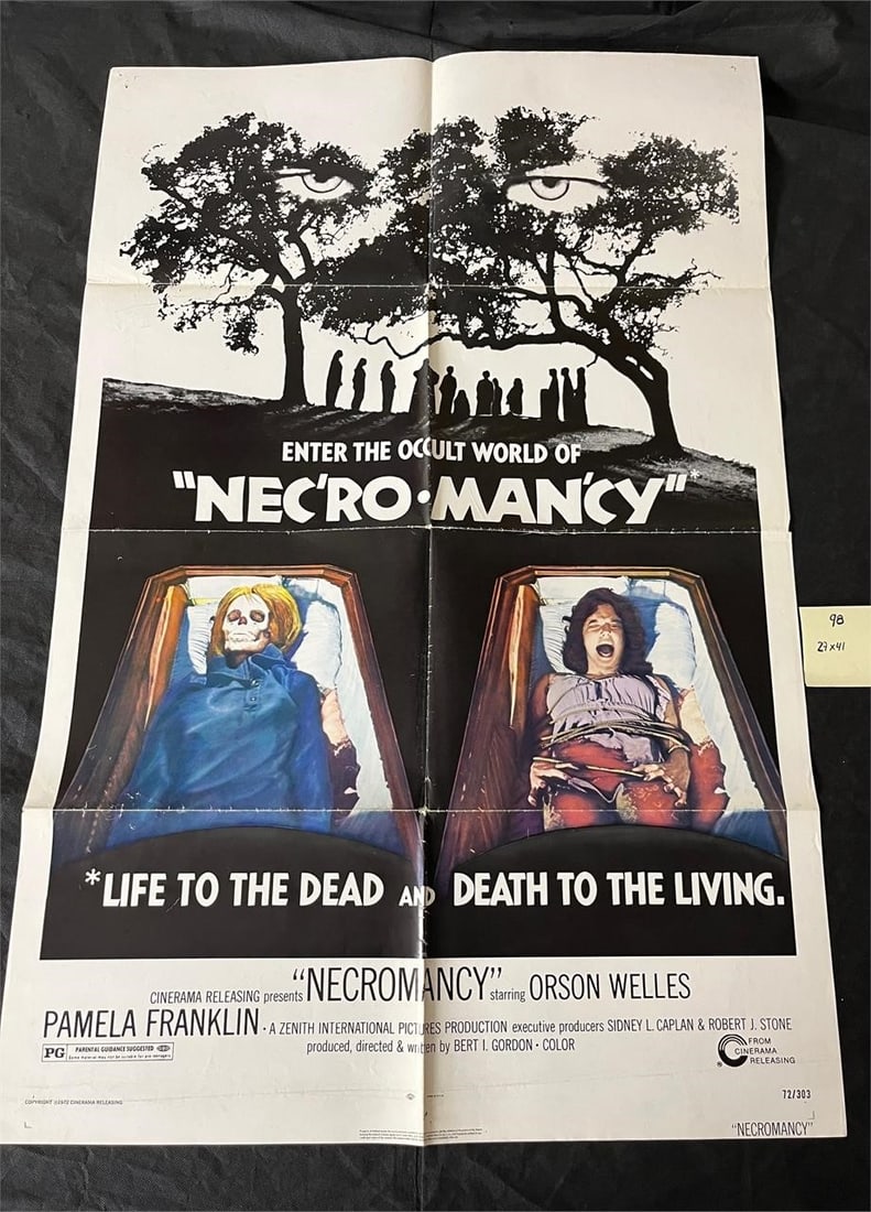 Necro Mancy One Sheet Movie Poster: Original One Sheet Movie Poster All items are sold as is. Please look at pictures carefully to determine what you believe are the condition of each lot. By choosing which card to use to register to bi