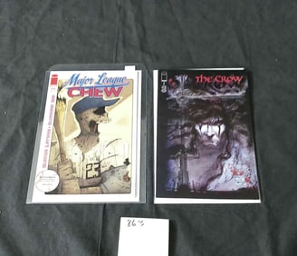 The Crow 1 Todd McFarlane Variant Cover Comic