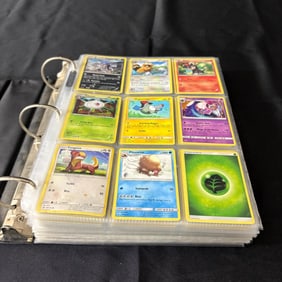 Modern Bulk Pokemon Binder