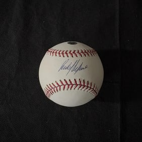 Carlos Delgado Signed Baseball