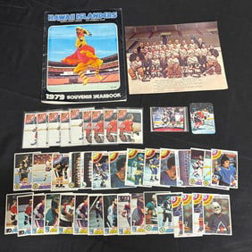 1970s Topps Hockey Cards +