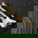 item-210340415=1