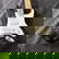 item-210340415=2