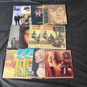 Mix lot of Records, The Animals +