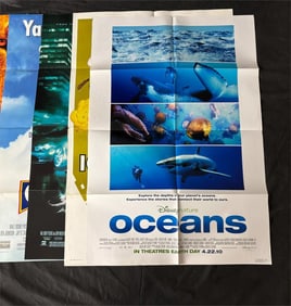 Large lot of Original Disney Posters