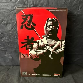 CRAZY OWNERS Ninja 1/6th Scale 12' Action Figure NIB