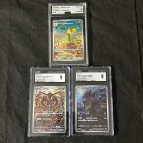 Graded Art Rare Pokemon Cards, Zorua +