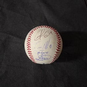 Multi Sig Baseball, Carlos Carrasco, Torrii Hunter