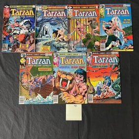 Tarzan Marvel Bronze Age Comic Books