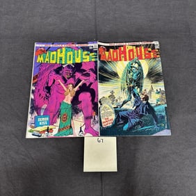 Madhouse Red Circle Bronze Age Horror Comics