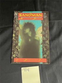 Sandman 8 1st app Death DC/Vertigo Horror Comic