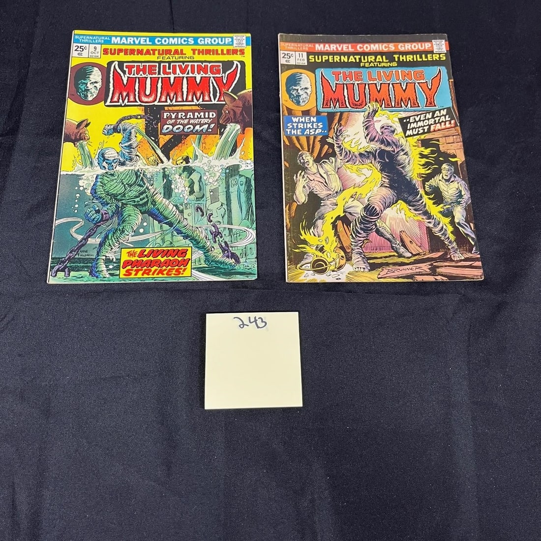 Supernatural Thrillers Feat. Living Mummy Comics (1 of 2)