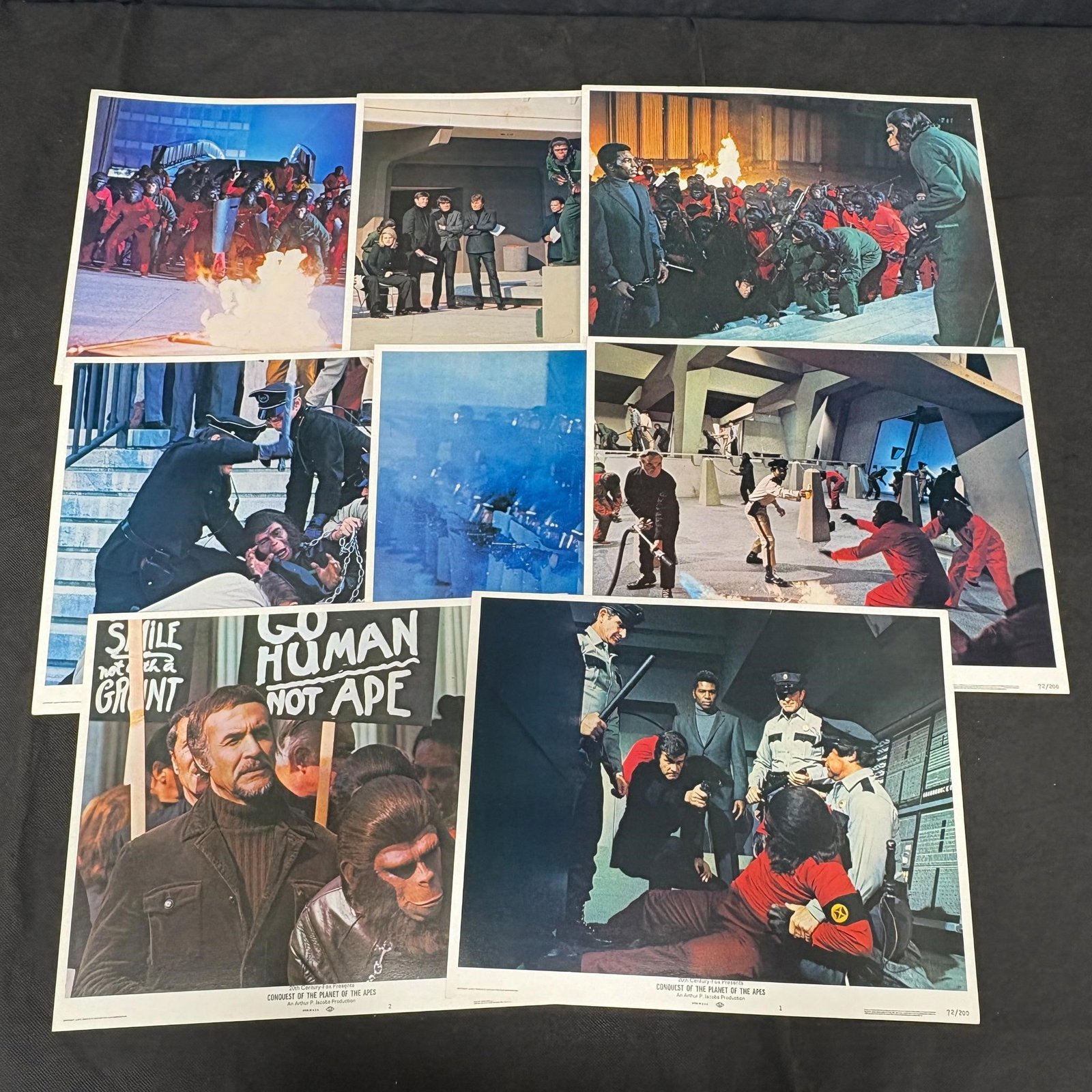 Conquest of the Planet of the Apes Lobby Card Set (1 of 5)