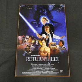Star Wars Return of the Jedi DIsplay