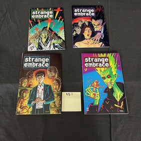 Strange Embrace 1-4 David Hine Comic Series
