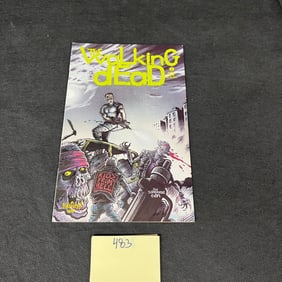 Walking Dead 2 Aircel Comic Book Series Hard to Find Comic Book