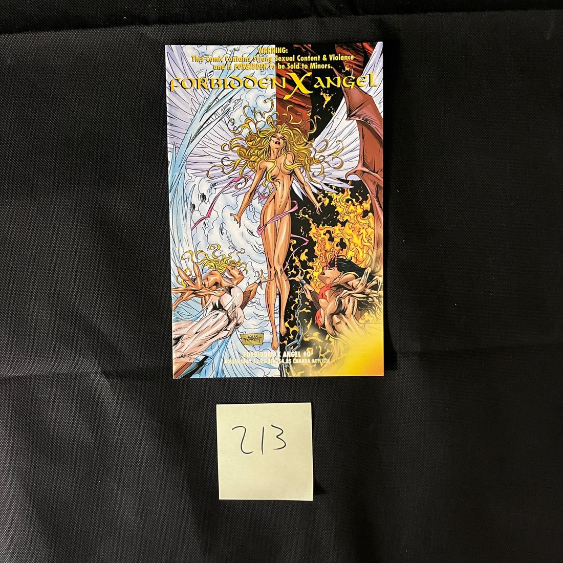 Forbidden X Angel Mature Reader Comic Book (1 of 1)