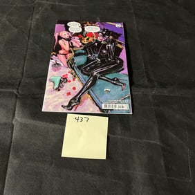 Catwoman 44 1:25 Retail Incentive Sozomaika Variant Cover Comic
