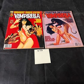 Vampirealla 64 & 66 Warren Magazine Bronze Age Horror Magazines