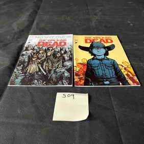 Image Comics Walking Dead Comic Books