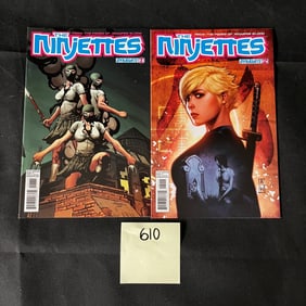 Ninjettes TP Comic Books