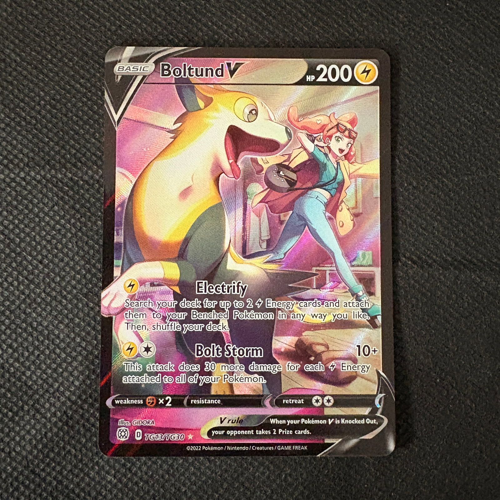 Boltund V Brilliant Stars Trainer Gallery (1 of 2)