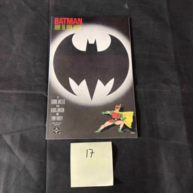 Batman The Dark Knight Returns 3 - Hunt The Dark Knight