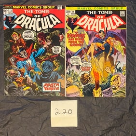 Marvel Comics Tomb of Dracula 13 & 14 Bronze Age Comic Books